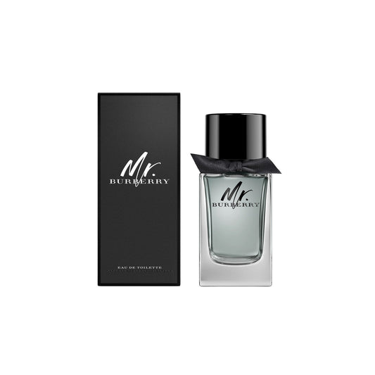 Mr BURBERRY Men EDT 100ml