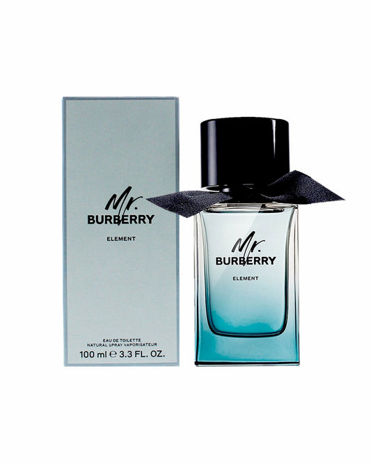 Mr BURBERRY Element Men EDT 100ml